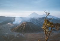 UMP Jawa Timur Terbaru 2022 - Wisata Gunung Bromo Jawa Timur